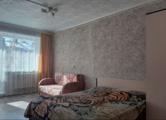 Сдается в аренду 1-комнатная квартира, 30 м2, Иркутская область, микрорайон Пахотищева, 10А