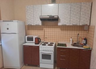 Аренда 2-комнатной квартиры, 70 м2, Новосибирск, улица Мясниковой, 6/2, ЖК Стрижи на Родниках