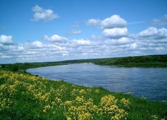 Продается земельный участок, 10 сот., село Большое Хорошово, село Большое Хорошово, 86