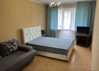 Аренда 2-комнатной квартиры, 56 м2, Барнаул, Красноармейский проспект, 106, Железнодорожный район