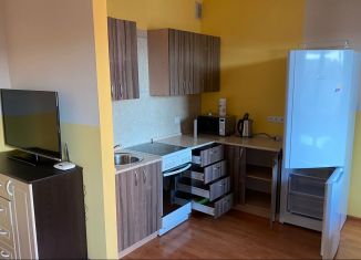 Сдается в аренду квартира студия, 40 м2, Иркутск, улица Пискунова, 133/3