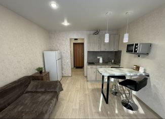 Продается квартира студия, 18.3 м2, Татарстан, улица Голубятникова, 11А