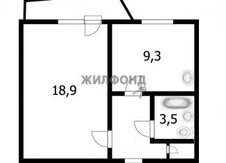 Продаю однокомнатную квартиру, 33.9 м2, Новосибирская область, рабочий посёлок Краснообск, 7