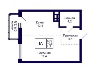 1-комнатная квартира на продажу, 41.4 м2, Новосибирск, метро Берёзовая роща, улица Фрунзе, с1