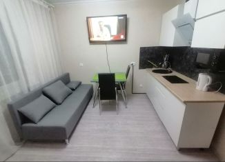 Сдается 1-ком. квартира, 27 м2, Анапа, улица Ленина, 243