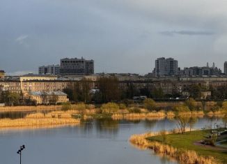 Сдаю квартиру студию, 26 м2, Санкт-Петербург, Варфоломеевская улица, 6, метро Ломоносовская