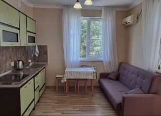 Сдается в аренду двухкомнатная квартира, 38 м2, Краснодарский край, Пасечная улица, 45/13