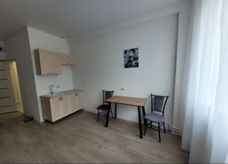 Продается квартира студия, 18 м2, Новосибирск, Сухановская улица, 6А