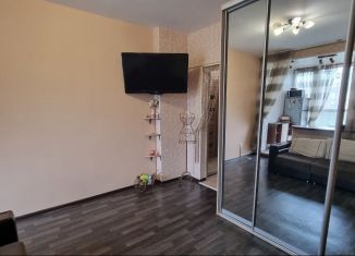 Продается квартира студия, 21 м2, Красноярский край, улица Борисова, 42