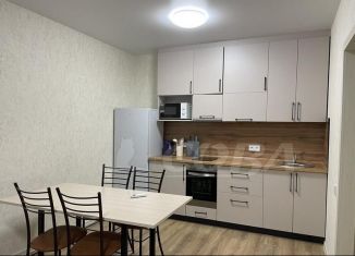 Сдам 1-комнатную квартиру, 45 м2, Тюмень, улица Тимофея Кармацкого, 9