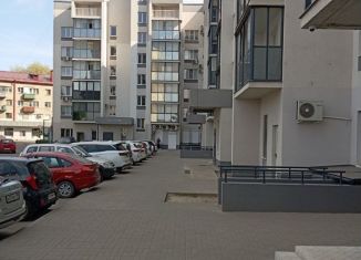 1-комнатная квартира в аренду, 38 м2, Воронеж, улица Димитрова, 131, Левобережный район