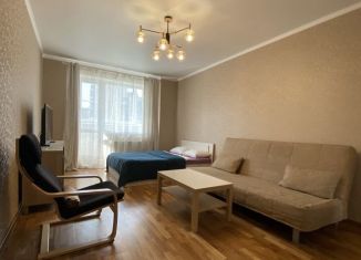 Сдается 1-ком. квартира, 41 м2, Санкт-Петербург, проспект Ударников, 27к2