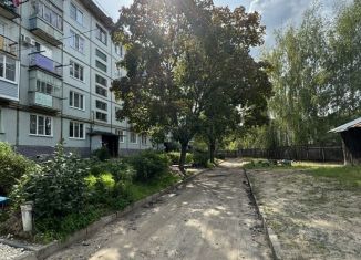 Продажа 2-комнатной квартиры, 41.8 м2, Нижегородская область, Новая улица, 8