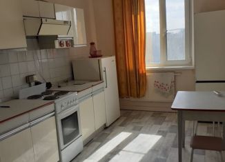 Аренда 2-ком. квартиры, 56 м2, Санкт-Петербург, проспект Ударников, 56к1