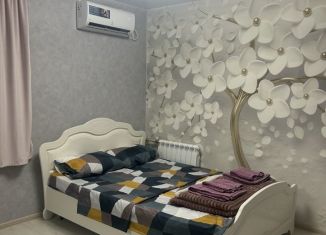 Аренда двухкомнатной квартиры, 31 м2, Сочи, переулок Павлова, 14