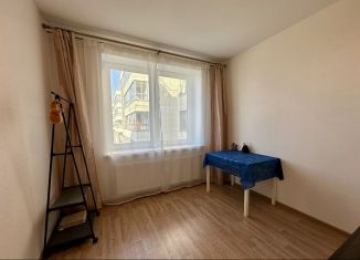 Сдается 1-ком. квартира, 30 м2, Санкт-Петербург, Пулковское шоссе, 42к6