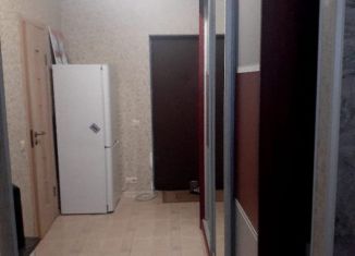 Квартира в аренду студия, 27 м2, деревня Мотяково, деревня Мотяково, 65к32
