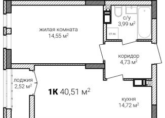 Продается 1-комнатная квартира, 40.5 м2, Нижний Новгород, метро Горьковская