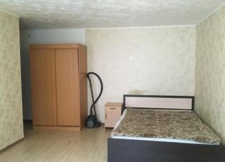 1-комнатная квартира в аренду, 32 м2, Екатеринбург, улица Попова, 24, улица Попова