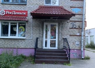 Помещение свободного назначения в аренду, 60 м2, Котлас, улица Маяковского, 16