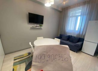 2-комнатная квартира в аренду, 40 м2, Сочи, Крымская улица, 89