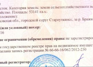 Продаю участок, 531 сот., поселок городского типа Староуткинск, проспект Космонавтов