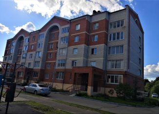 Продажа трехкомнатной квартиры, 99.4 м2, село Новопетровское, Северная улица, 24