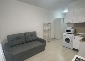 Квартира в аренду студия, 20 м2, Балашиха, улица Бояринова, 25