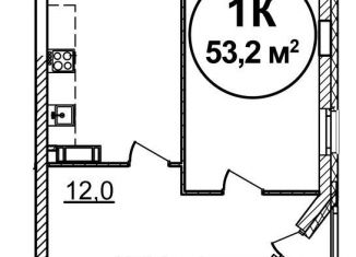 Однокомнатная квартира на продажу, 53.2 м2, Нижний Новгород, ЖК Подкова на Родионова