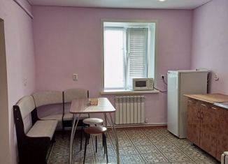 Двухкомнатная квартира в аренду, 40 м2, Чистополь, улица Маринина, 10