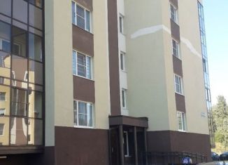Двухкомнатная квартира на продажу, 60.8 м2, Ленинградская область, Молодёжная улица, 43к1