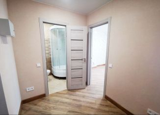 Продаю однокомнатную квартиру, 38.7 м2, посёлок Шушары, Московское шоссе, 256к8