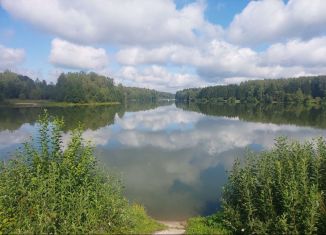 Продам участок, 15 сот., село Совхоз Победа, Весенняя улица