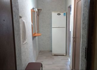 1-ком. квартира в аренду, 30 м2, Нижегородская область, улица Богородского, 5к3