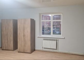 Сдам квартиру студию, 30 м2, Московская область, микрорайон Силикат, 18