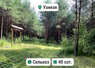 Продается земельный участок, 40 сот., село Узнезя