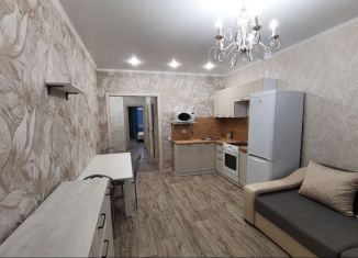 Сдаю 2-ком. квартиру, 50 м2, Абакан, улица Авиаторов, 5А