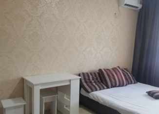 Сдаю в аренду квартиру студию, 25 м2, Краснодарский край, Участок №24, к2