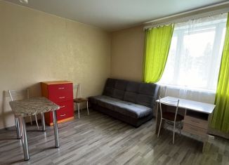 Сдам квартиру студию, 30 м2, Новосибирская область, улица Арбузова, 4/1