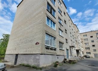 Сдается в аренду 1-комнатная квартира, 33 м2, Карелия, улица Труда, 2