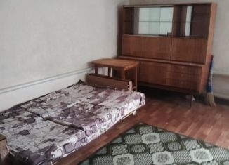 Сдаю в аренду 1-ком. квартиру, 30 м2, Богородск, улица Кашина, 19