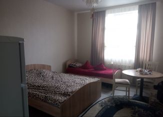 Сдается 1-ком. квартира, 60 м2, деревня Дудкино, СНТ Круиз, 245