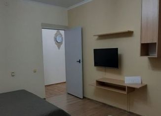 Сдаю в аренду 1-ком. квартиру, 32.5 м2, Геленджик, улица Сурикова, 64