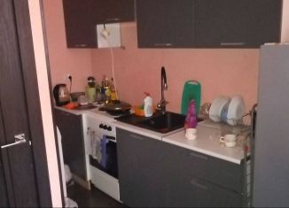 Сдаю в аренду квартиру студию, 28 м2, посёлок Газопровод, 4-я улица Лесные Поляны, 2к5