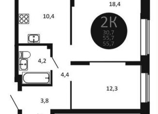 Двухкомнатная квартира на продажу, 55.7 м2, Новосибирск