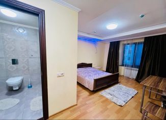 Аренда квартиры студии, 30 м2, Москва, Лыткаринская улица, 1, ВАО