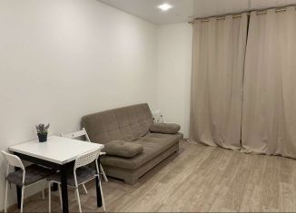 Сдам в аренду квартиру студию, 26 м2, Пермь, улица Куйбышева, 109А