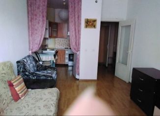 Сдаю квартиру студию, 30 м2, Санкт-Петербург, Пулковская улица, 8к2, Московский район