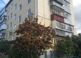 Продаю двухкомнатную квартиру, 39.3 м2, село Миасское, Советская улица, 2А