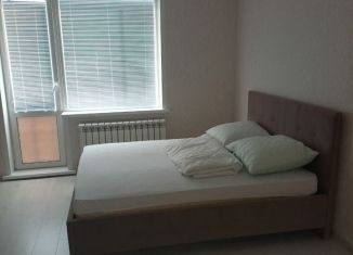 Квартира в аренду студия, 35 м2, Новосибирск, улица Писарева, 125